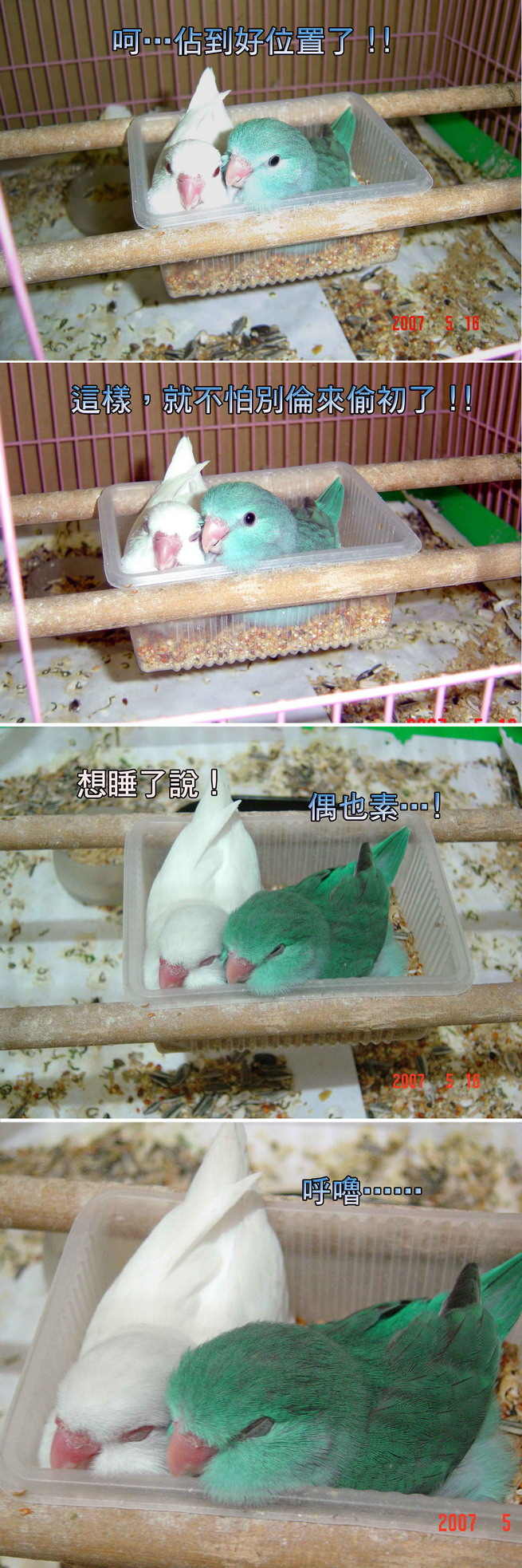 太平洋巢箱24