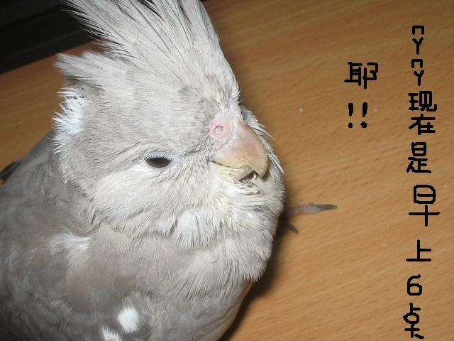 睡著了～～～