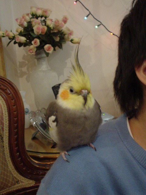 大肥martin~