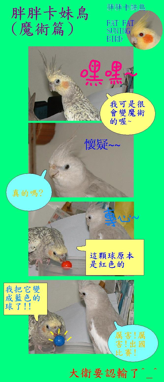 胖胖卡妹鳥(魔術篇)