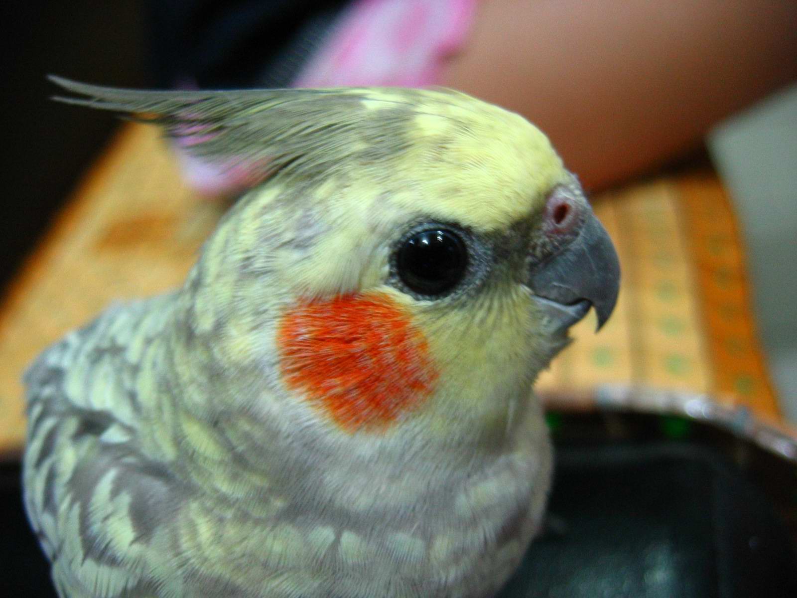 伸展一下