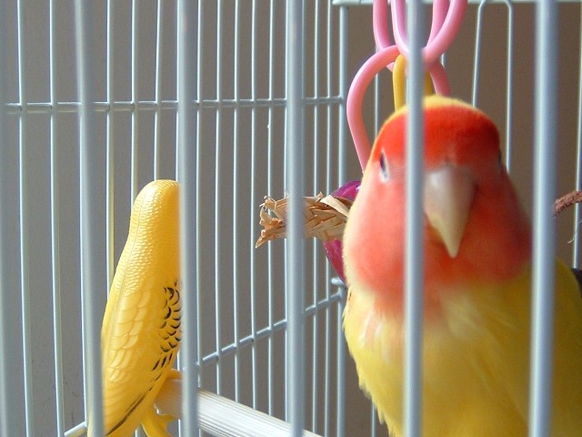 好久不見