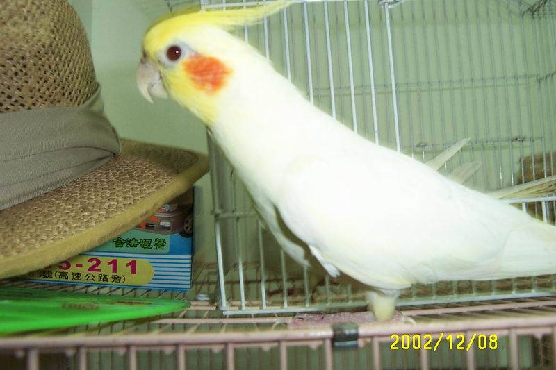 咦？