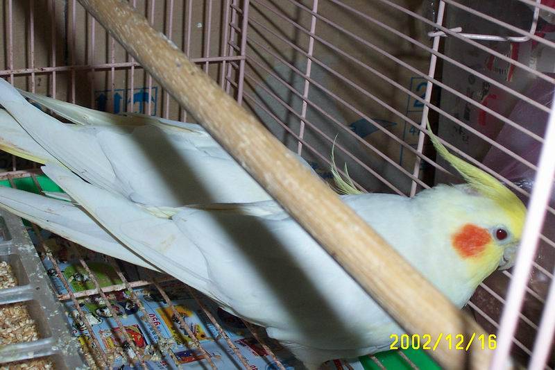 Photo 7431