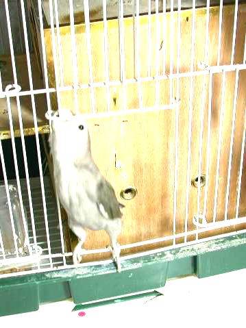 開門分解圖3