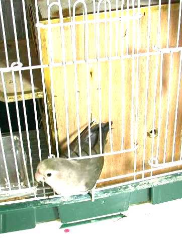開門分解圖4