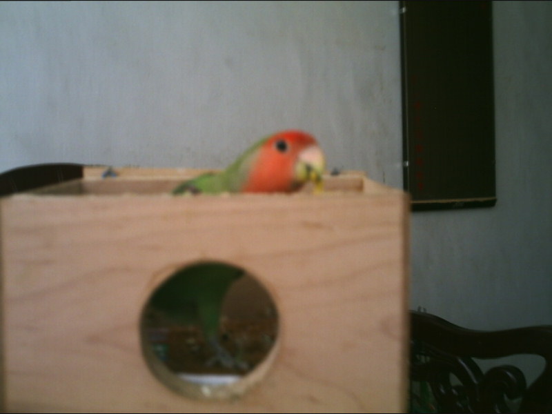 Photo 15370