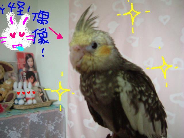 賭神接班人