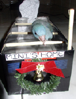 MINI  HOME