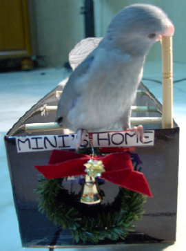 MINI HOME(3)
