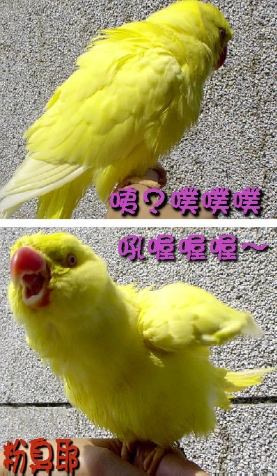 我主人吃太飽....⊙~⊙