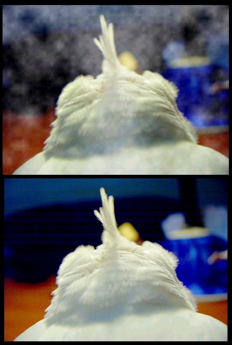 娃娃牌雪花冰㊣