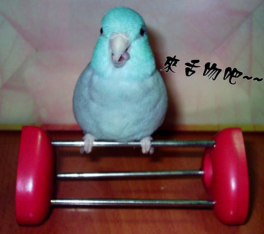 MINI （～舌吻～）