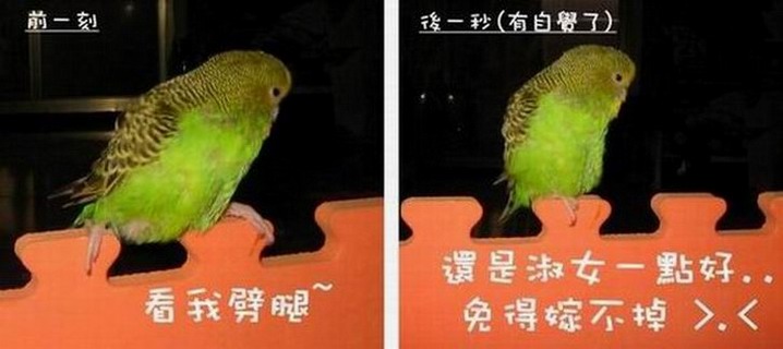 自言自語~