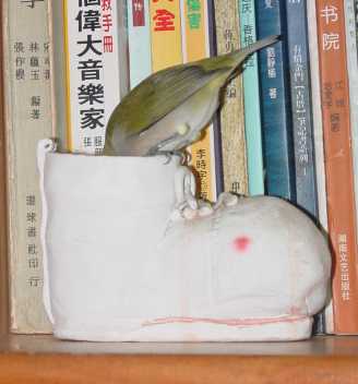 穿鞋鞋~~