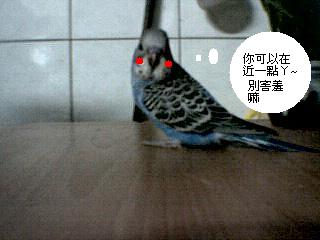 ㄏㄏㄏ~~我自己弄ㄉ~