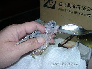 湯匙也比我大