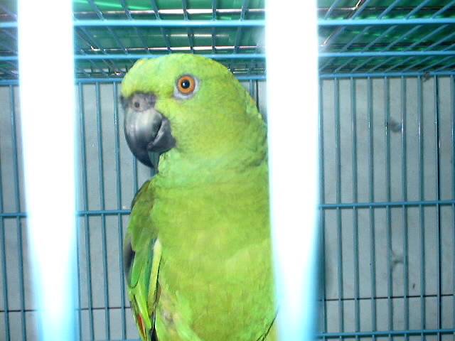 很有趣的一隻鳥~