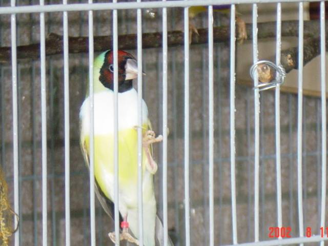 Photo 4737