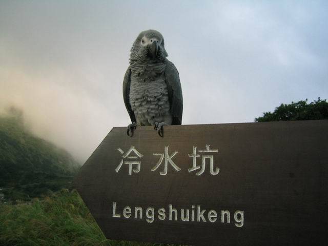 波波歷險記之陽明山冷水坑