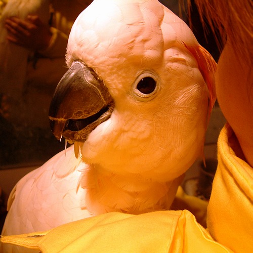 Photo 11674
