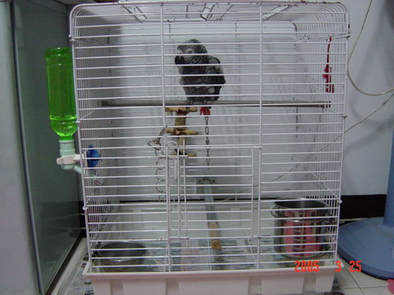 新居落成