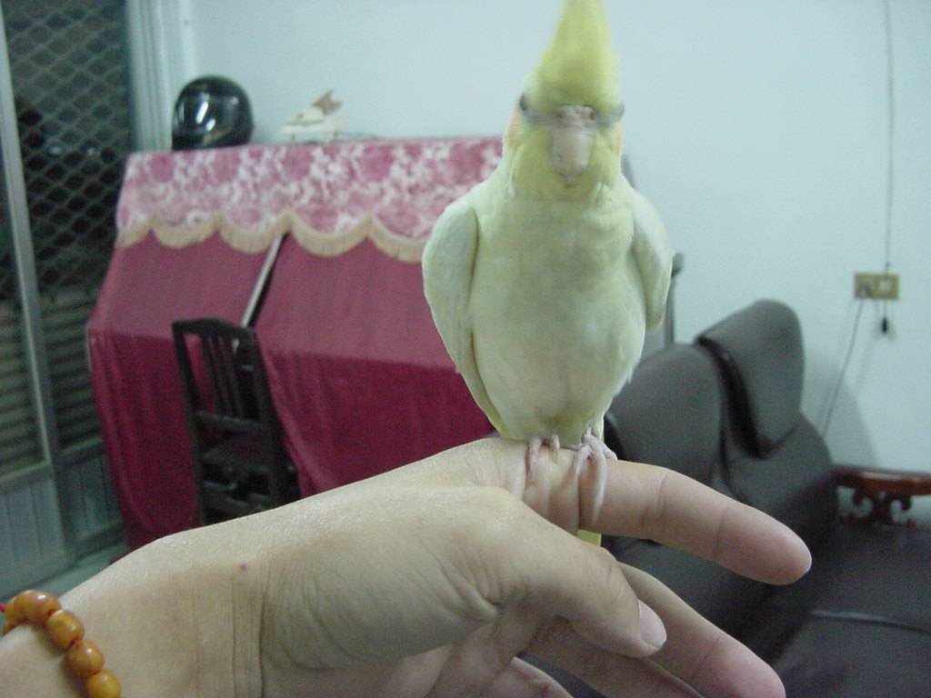 只要我長大