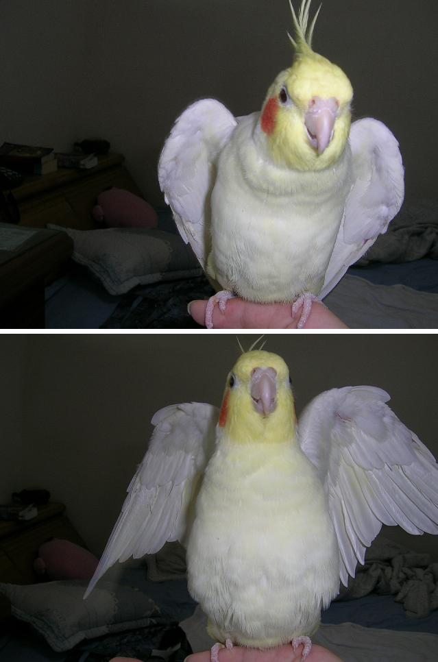 赫~~~~