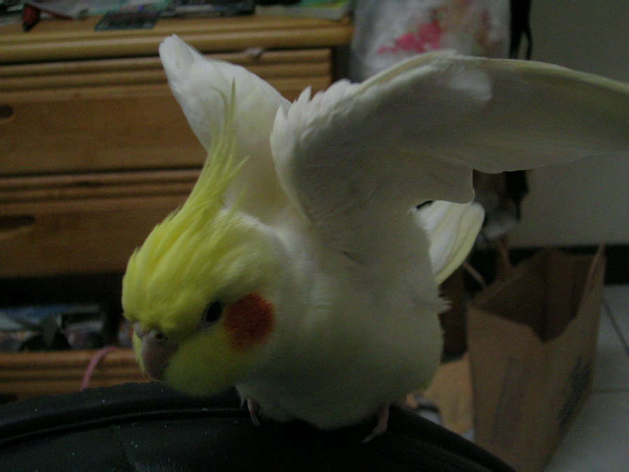 伸懶腰