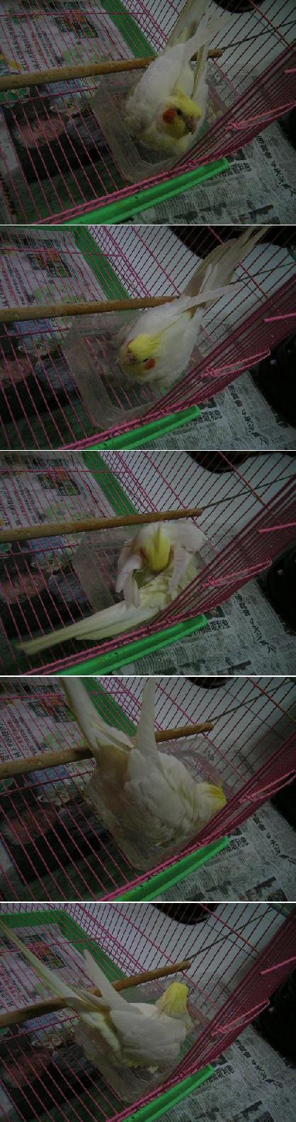 終於可以洗澡了
