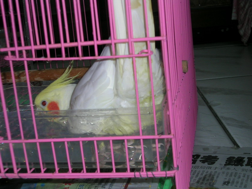 給你看我的小屁屁