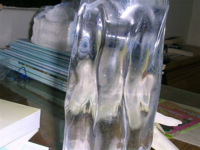 寶特瓶後面有一隻鳥