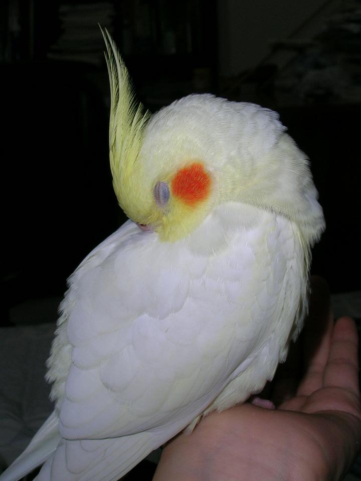 Photo 12975
