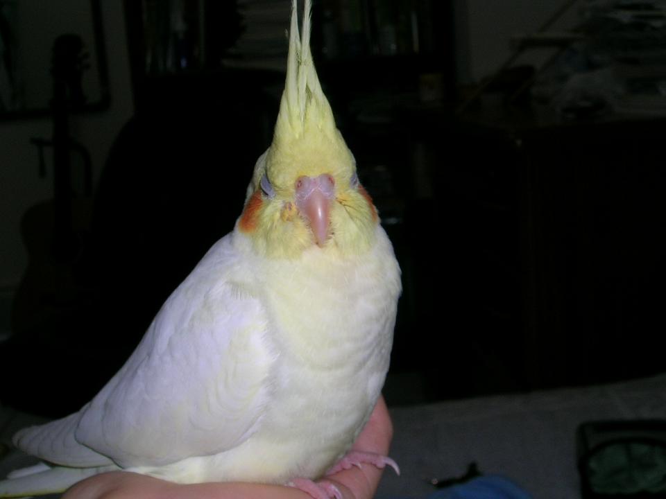 zzZZZ   -2