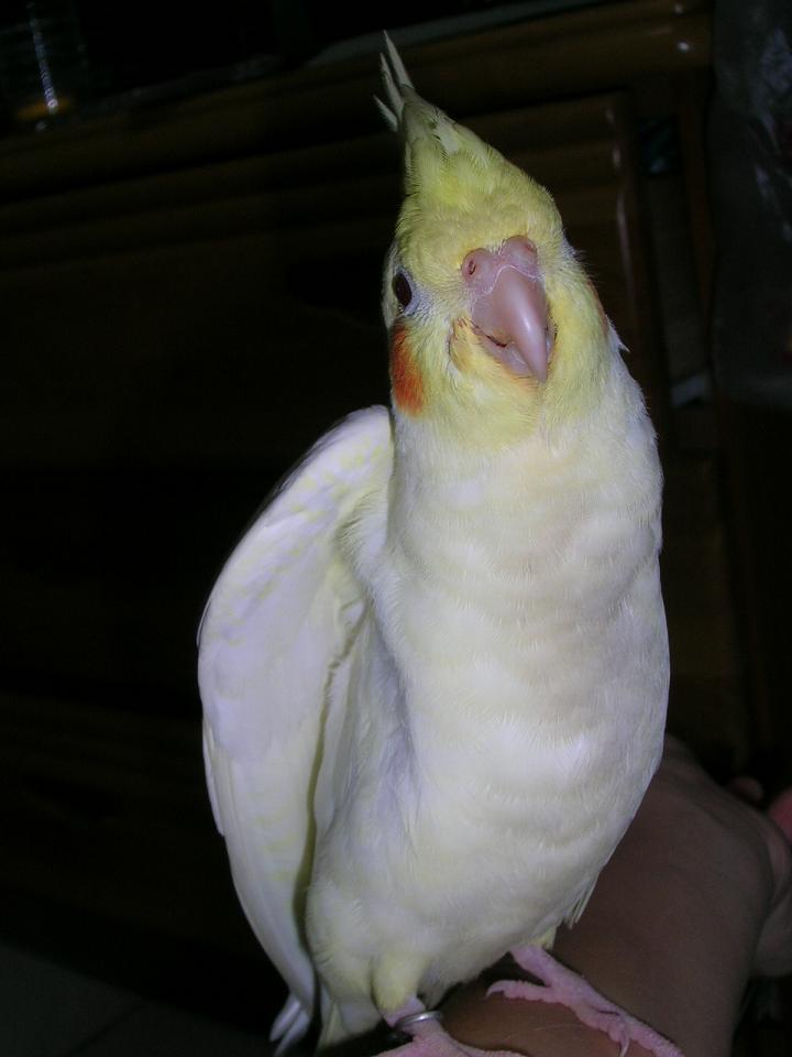 伸懶腰