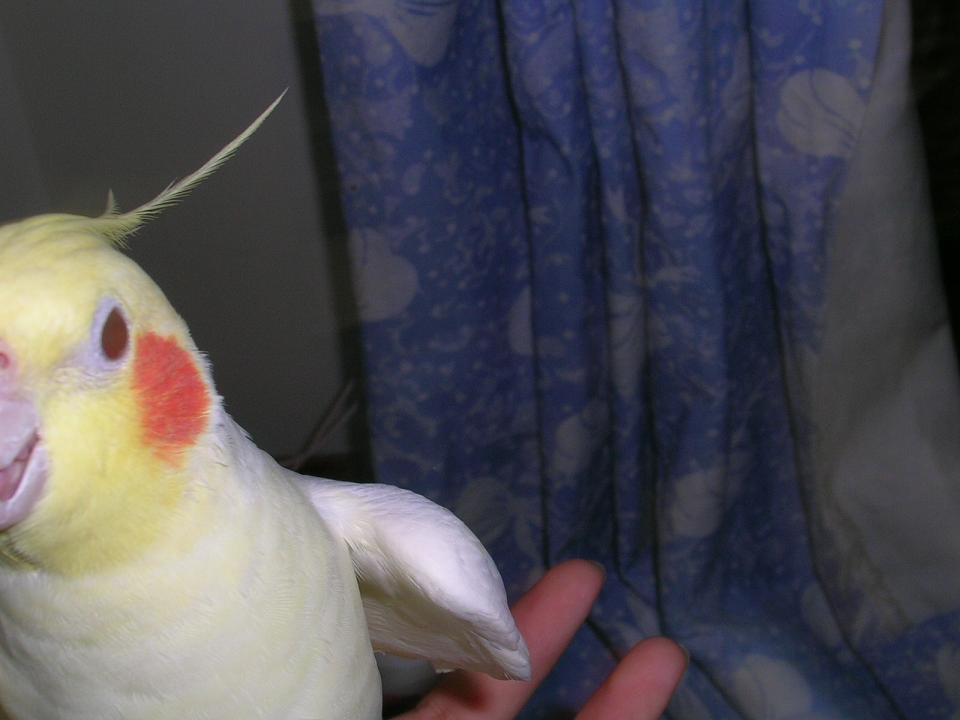 不要亂動啦