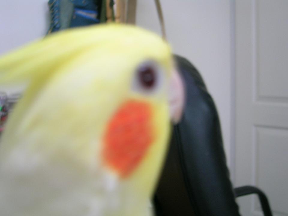 沒閃光