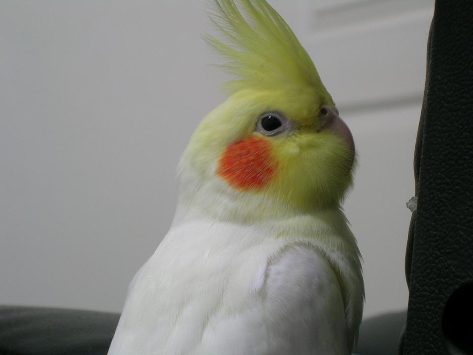 想睡覺