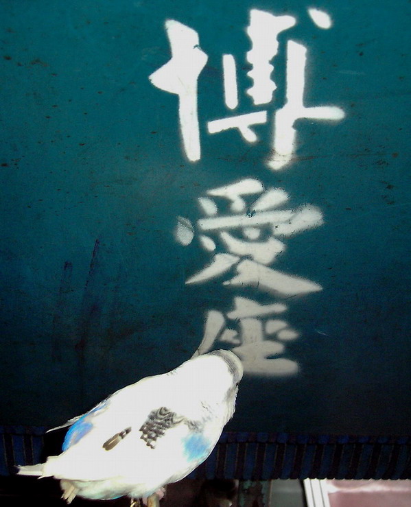 帶著安室坐公車.....