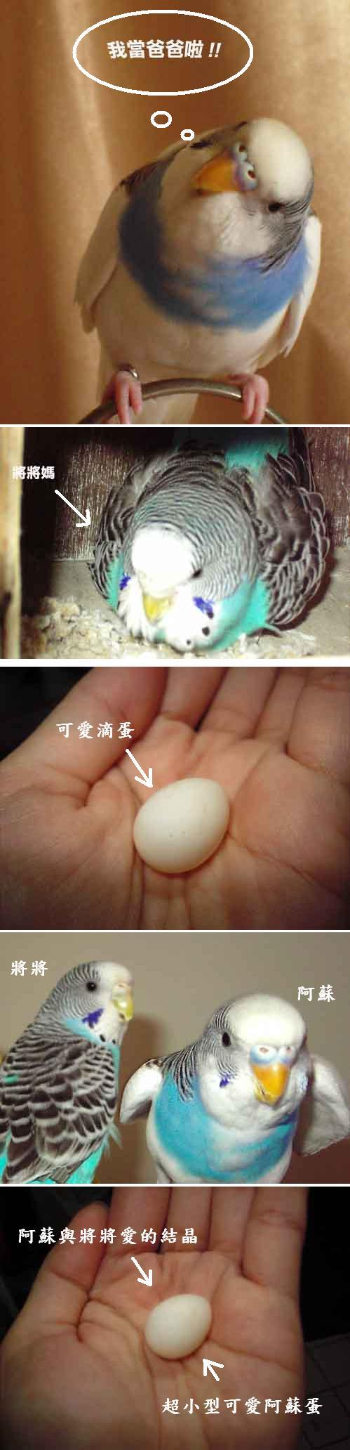 家有喜事