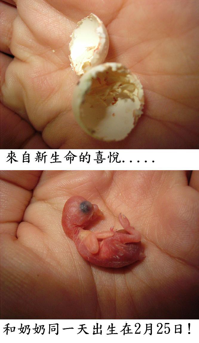 上天巧妙的安排