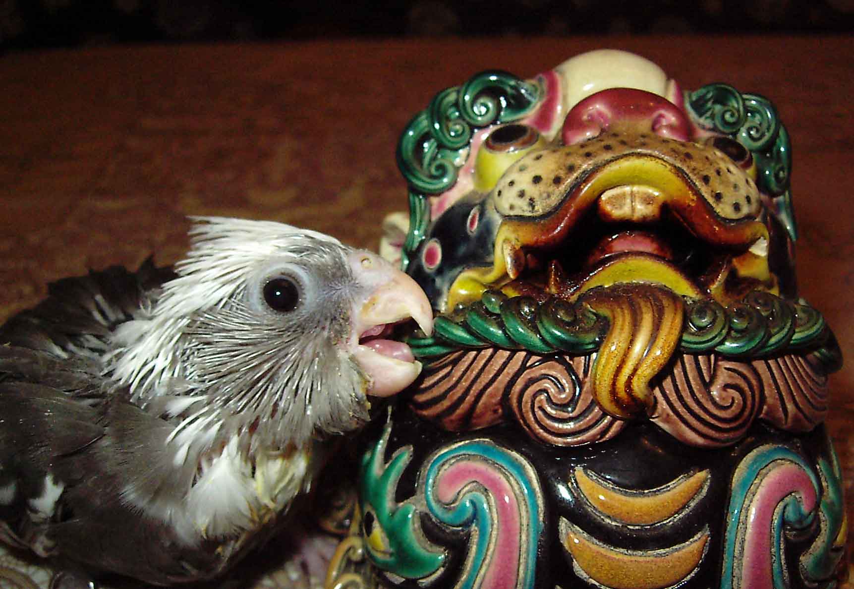 讓我們一起開口笑