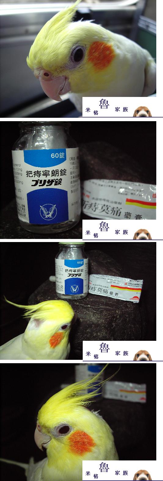 治病良方(痔病良方)