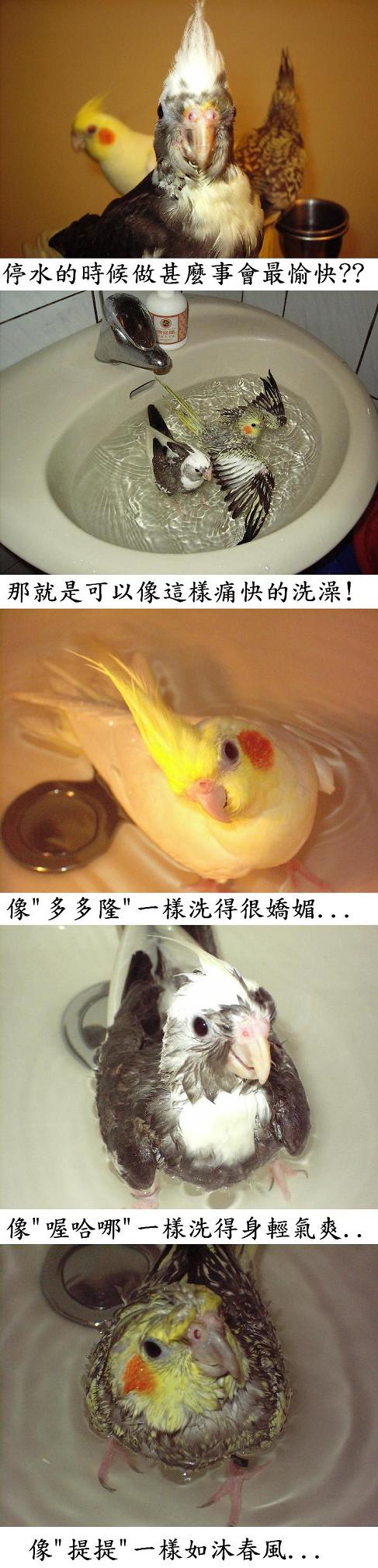 現在做甚麼事最開心??