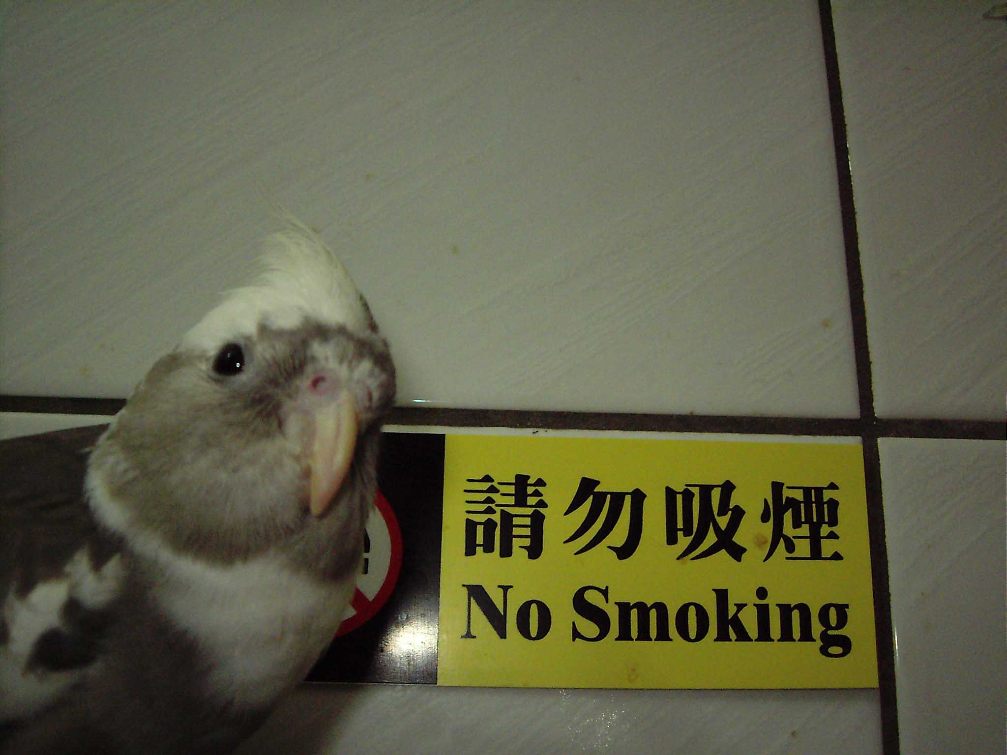 黑面蔡的健康廣告