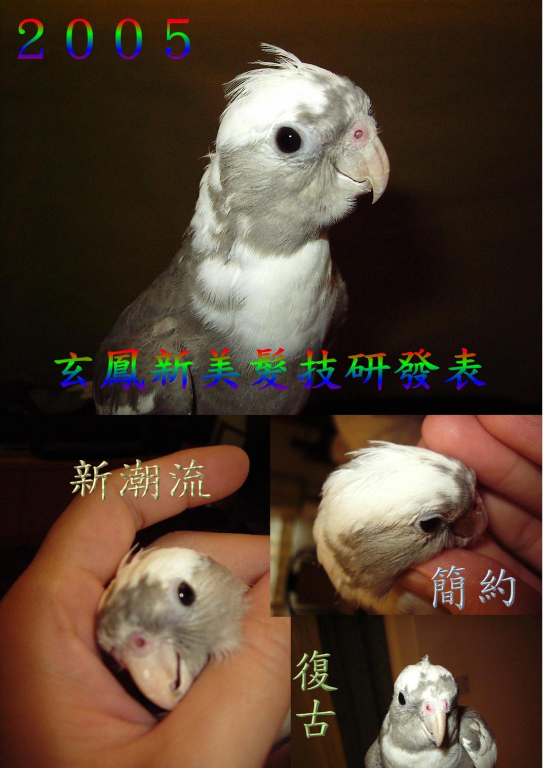 秋裝造型新豋場
