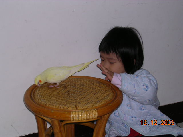 再舉高一點