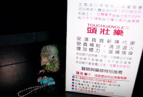 頭好壯壯