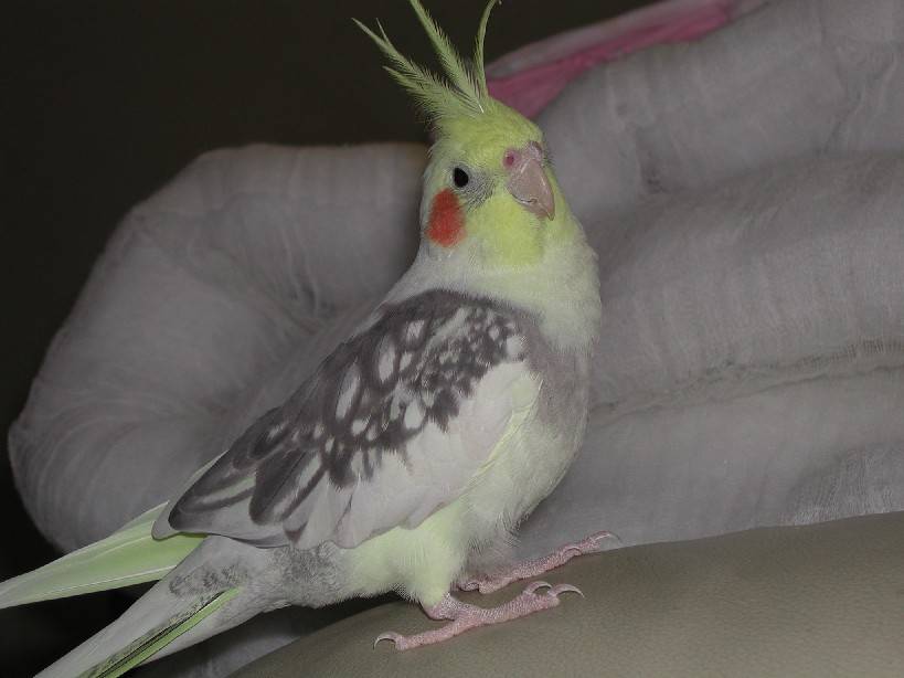 Photo 8675