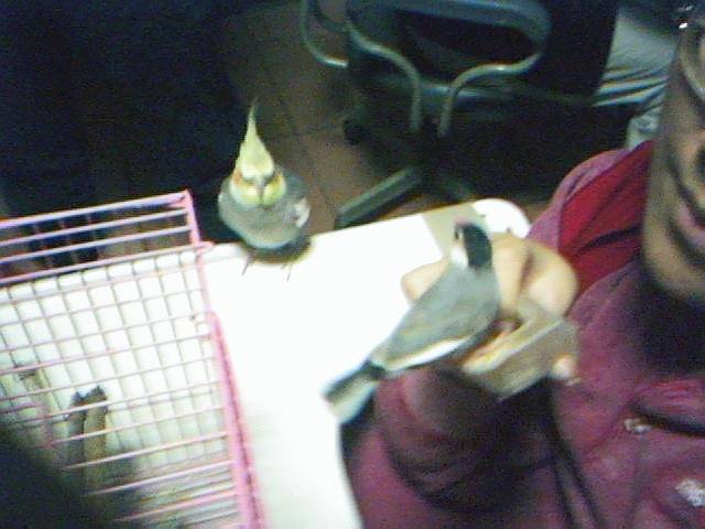 四目相望